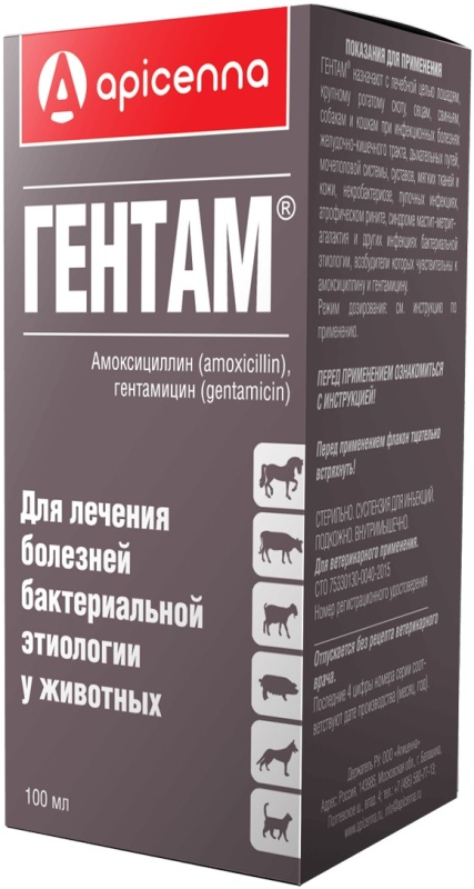 Гентам, 100мл Акция -15%